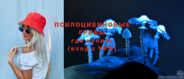 МДПВ Алексеевка