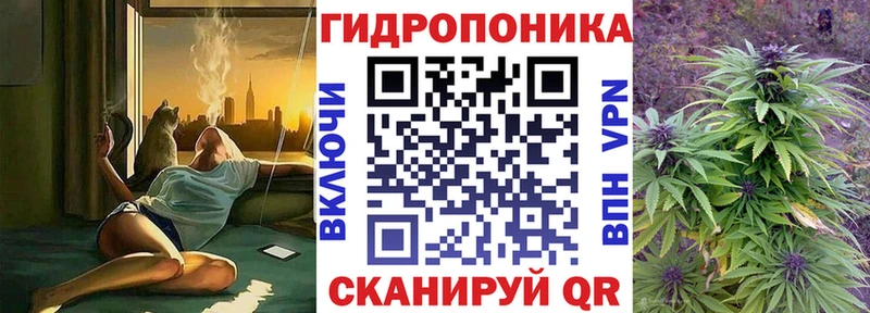 закладка  Сыктывкар  Бошки Шишки индика 